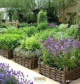 怎么样能纸上种菜,在家种菜可以做什么