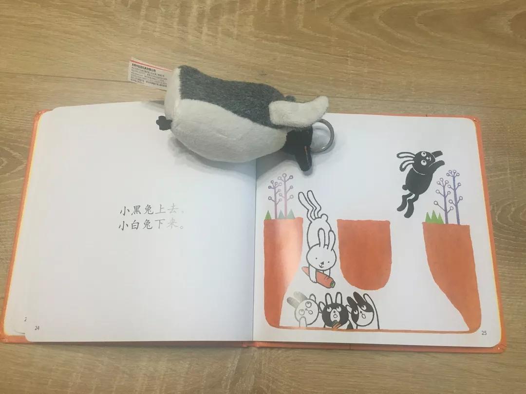 著名童书作家有哪些,国内优秀的童书作家