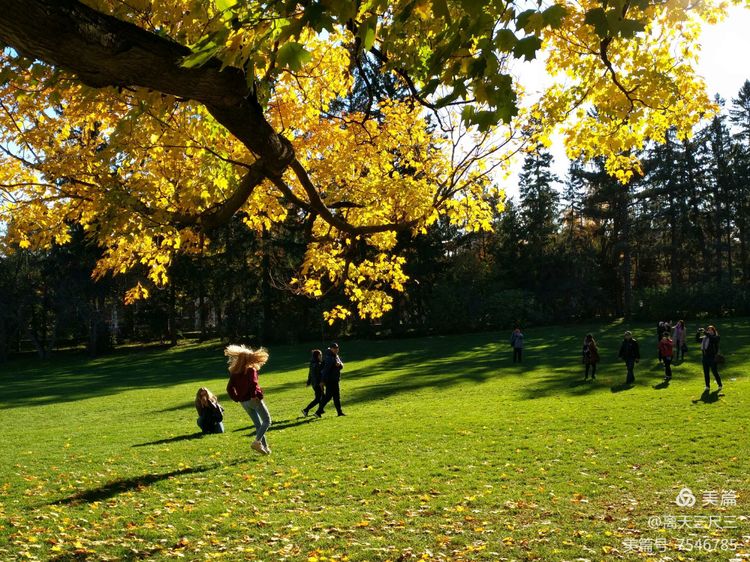 漫步魁北克体验不一样的北美风情,北美枫情蒙特利尔