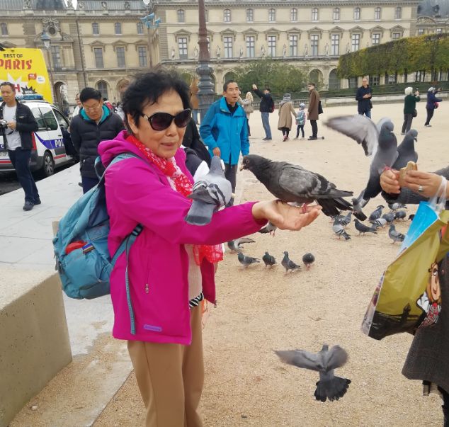 退休旅游推荐2-3天游,退休后旅游自由行攻略