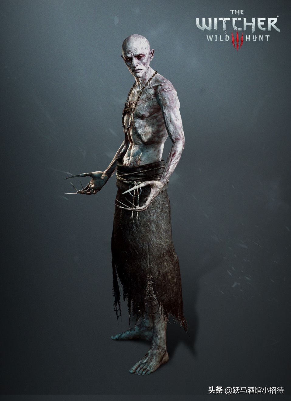 巫师三高阶吸血鬼所有剧情,猎魔人高阶吸血鬼