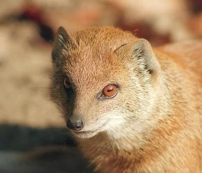 请神容易送神难这句话的典故,请神容易送神难的传说