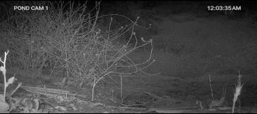 豆瓣9.3分这对夫妻打造1200亩生态农场，“堪称美版「李子柒」”