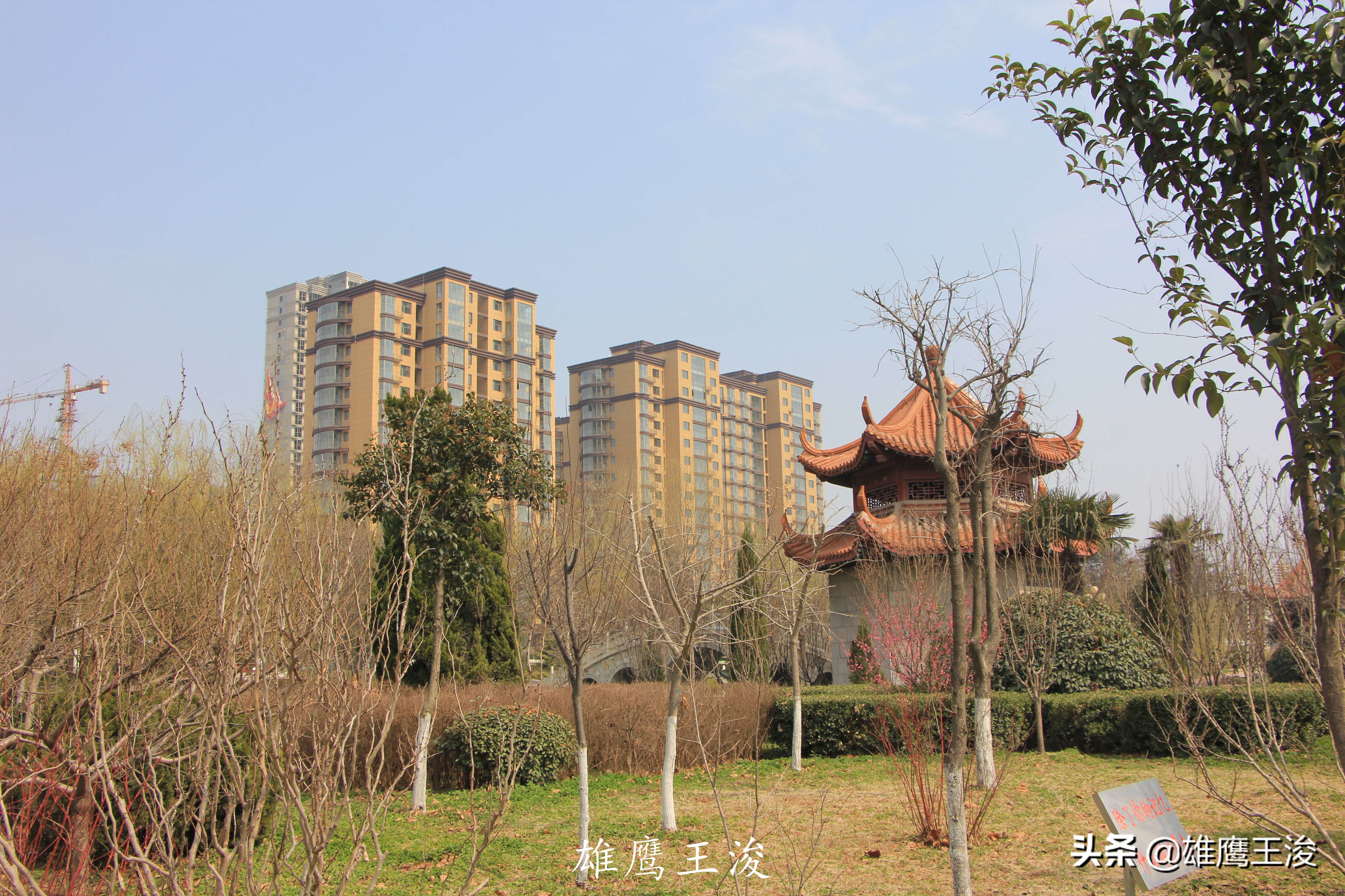 山东县城未来有什么发展,山东平原新区有发展前景吗