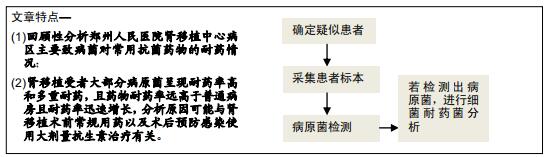 肾移植的人感染新型隐球菌,肾移植患者感染细菌怎么办