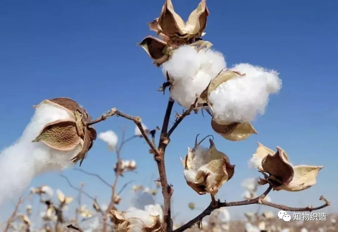 纯棉浴巾与全棉浴巾哪个好,浴巾超细纤维80%好还是90%的好