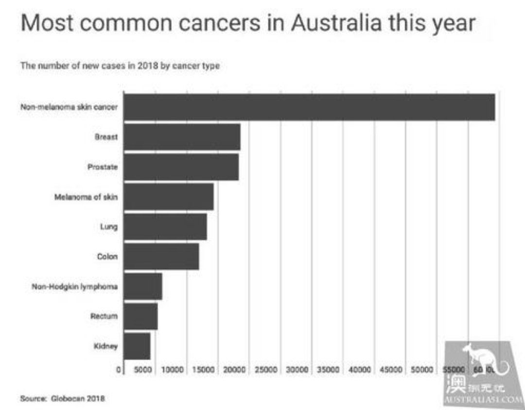 澳洲大桶防晒哪个牌子好,澳洲大黄瓶防晒好用吗
