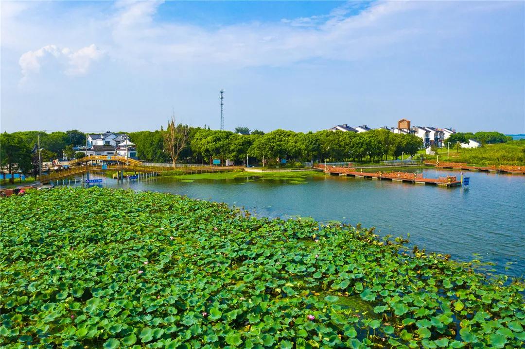 过年相城游玩攻略,相城区冬日游玩攻略