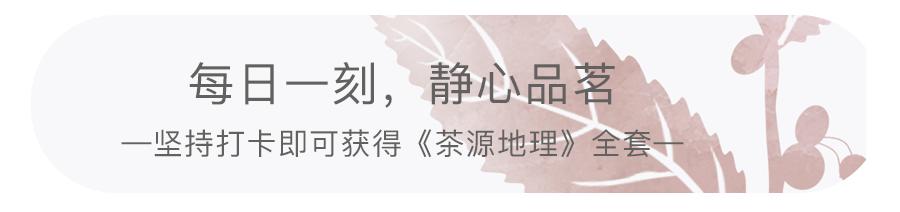 王郁斌|茶行业怎么做品牌