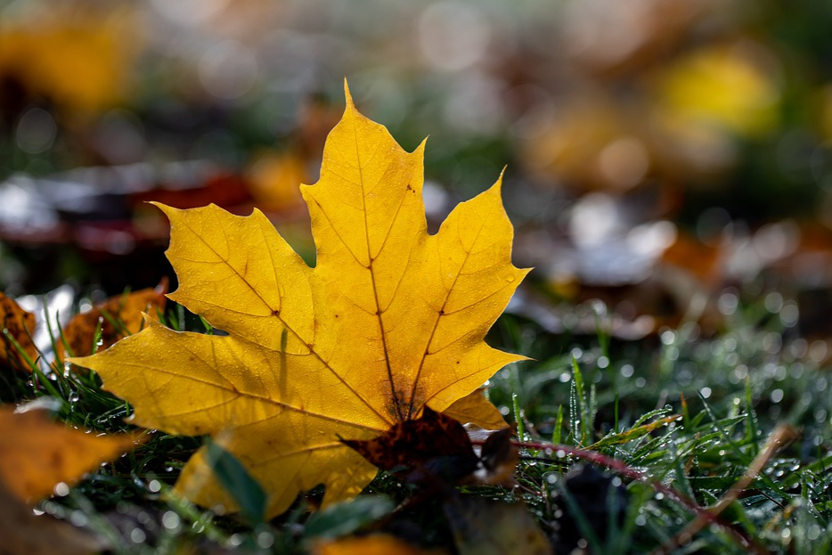 内心极度阴暗的人见不得别人好,内心阴暗的人永远是见不得光的