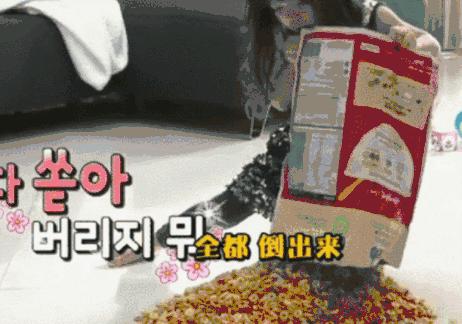 不会陪伴孩子玩,不会陪伴孩子的父母