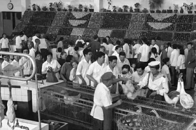 丈夫送的上亿家产，她一分不留，全捐给了故宫