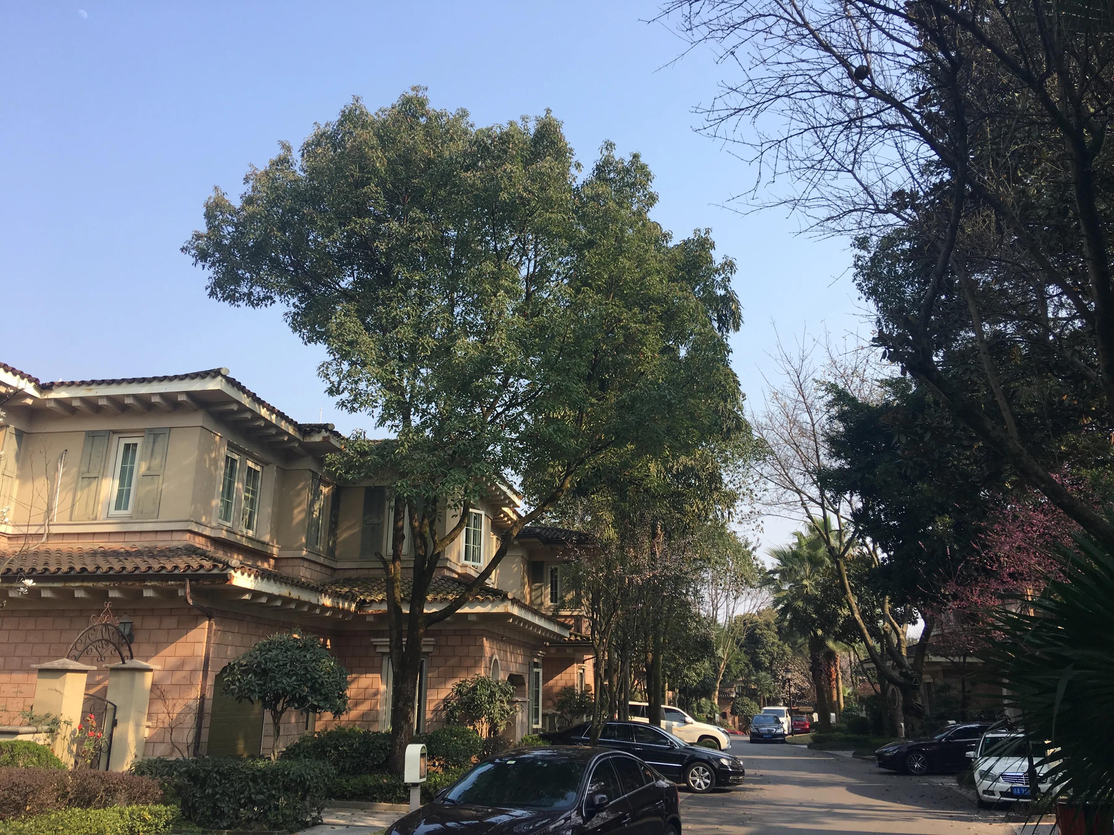 重庆龙湖蓝湖郡临湖,重庆龙湖蓝湖郡租房