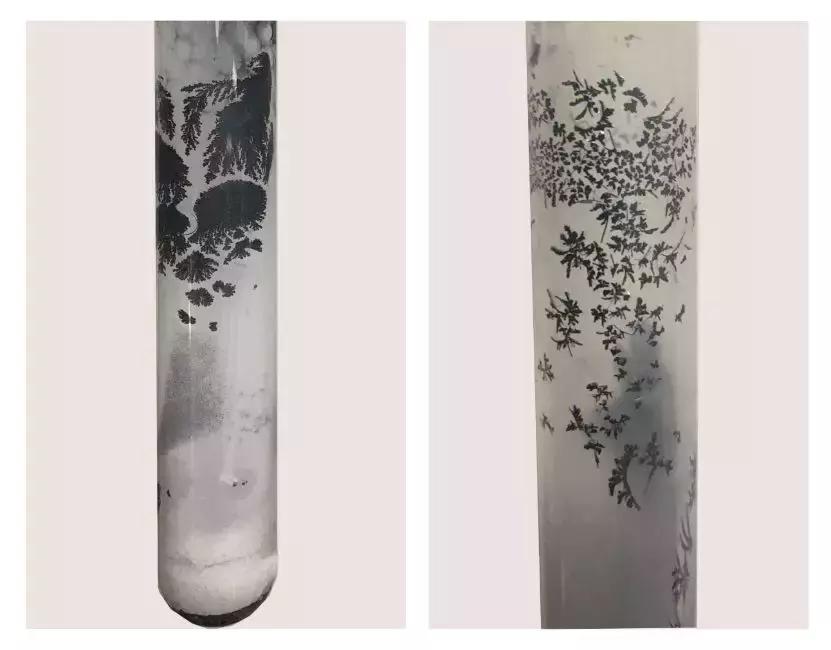 终局之战!!“光影化境”悦昌行杯摄影大赛复赛等你投票~