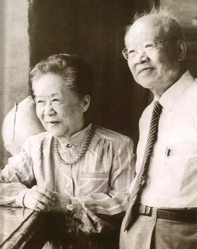 袁世凯子孙后代哪一支发展得好,袁世凯以及后人