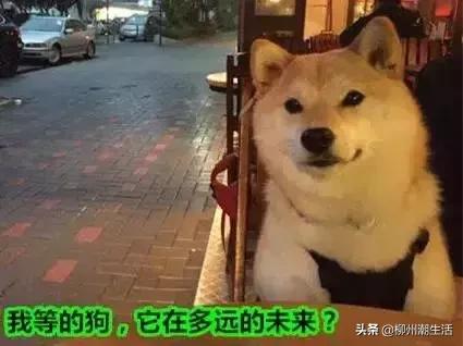 柳州市区十大网红民宿,柳州网红酒店住宿推荐