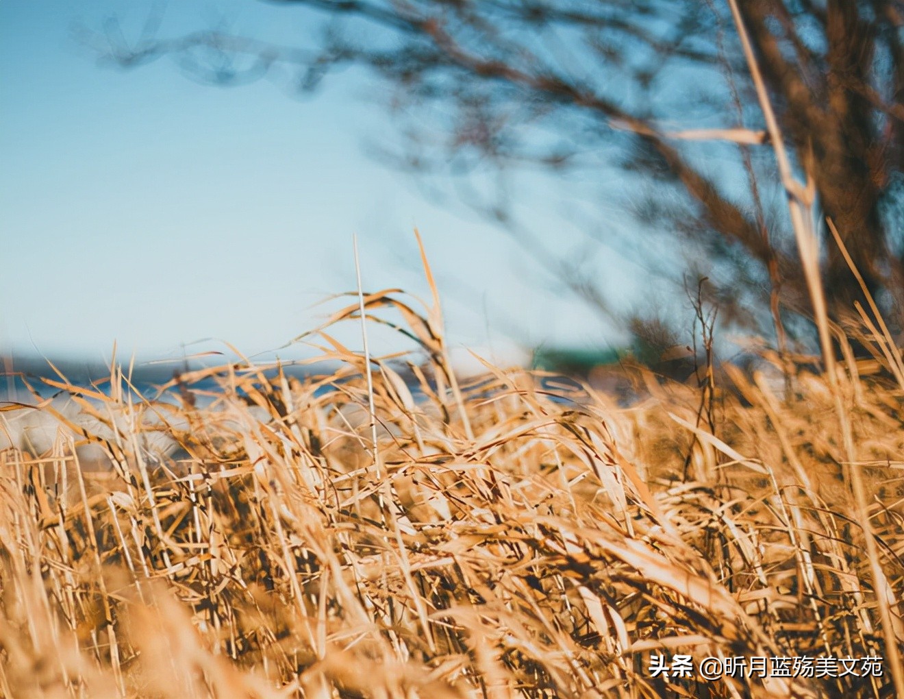 浅冬的阳光很是温暖,浅冬心中有暖时光安好