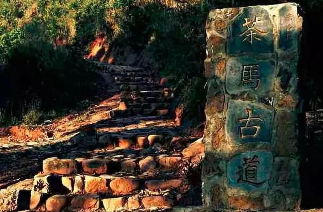 茶马古道上的千年茶香,茶马古道茶文化