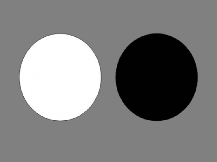 矮个女生，学会这三个“显高法则”，萌妹御姐切换自如