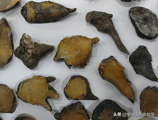 附子是什么中药,每日学一味中药附子