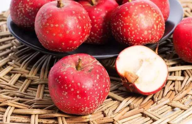 山楂的品种和种植技术,种植山楂的管理技术