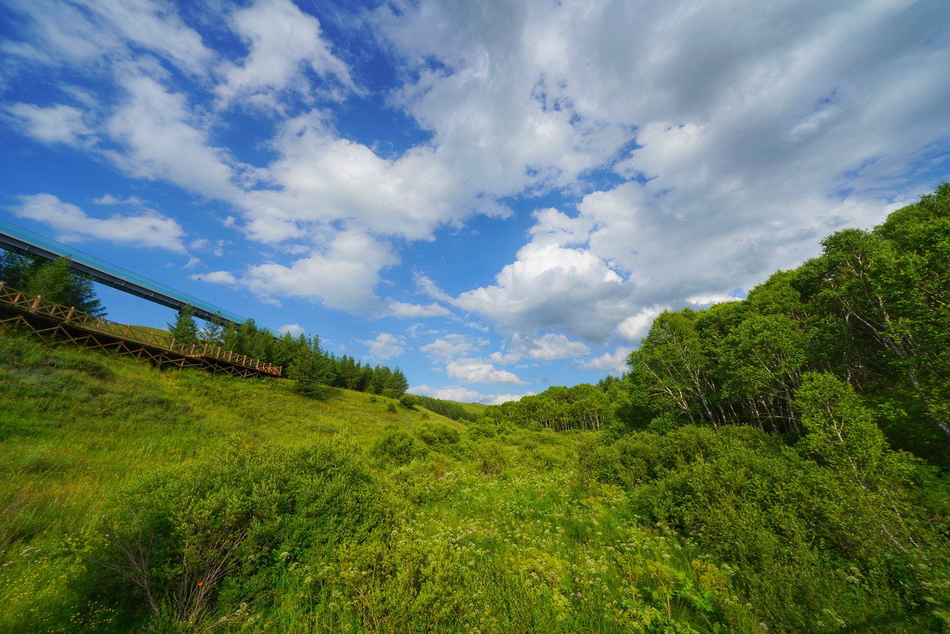 如何对付炎热的高温,炎炎夏日应对冬天