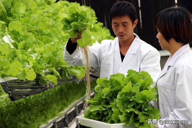 什么是生态农业通俗易懂,什么是生态经济发展