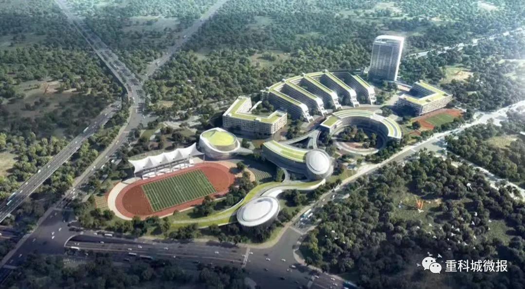 南开中学、南渝中学、树人小学、沙坪坝小学……这些名校扎堆了