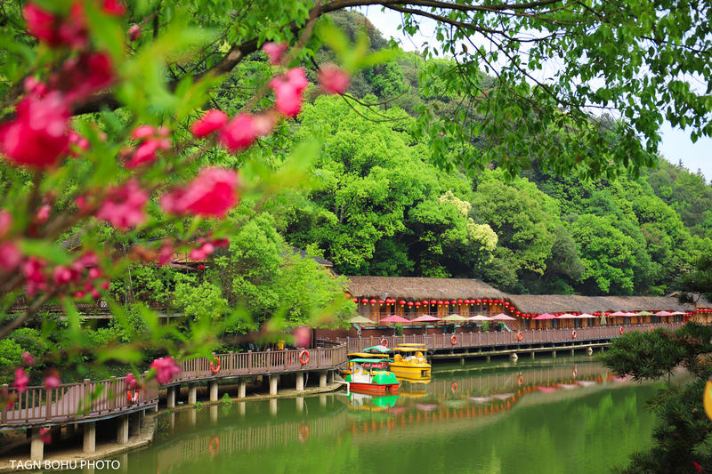 衢州飞越丛林探险乐园,浙江衢州深山