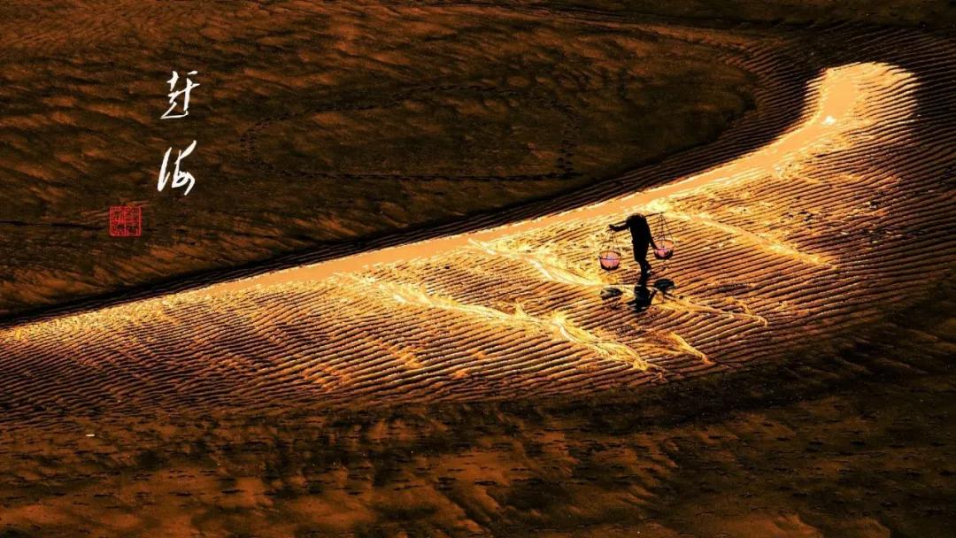 「第1期」2020年大美社群优秀作品回顾