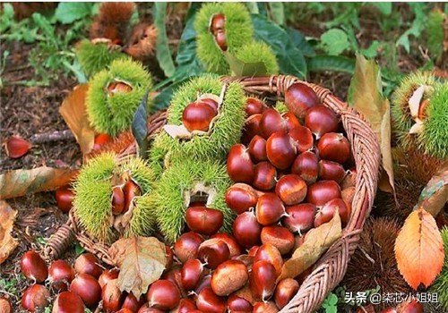 炒板栗的保存方法最简单,保存板栗怎么才能放时间长不生虫