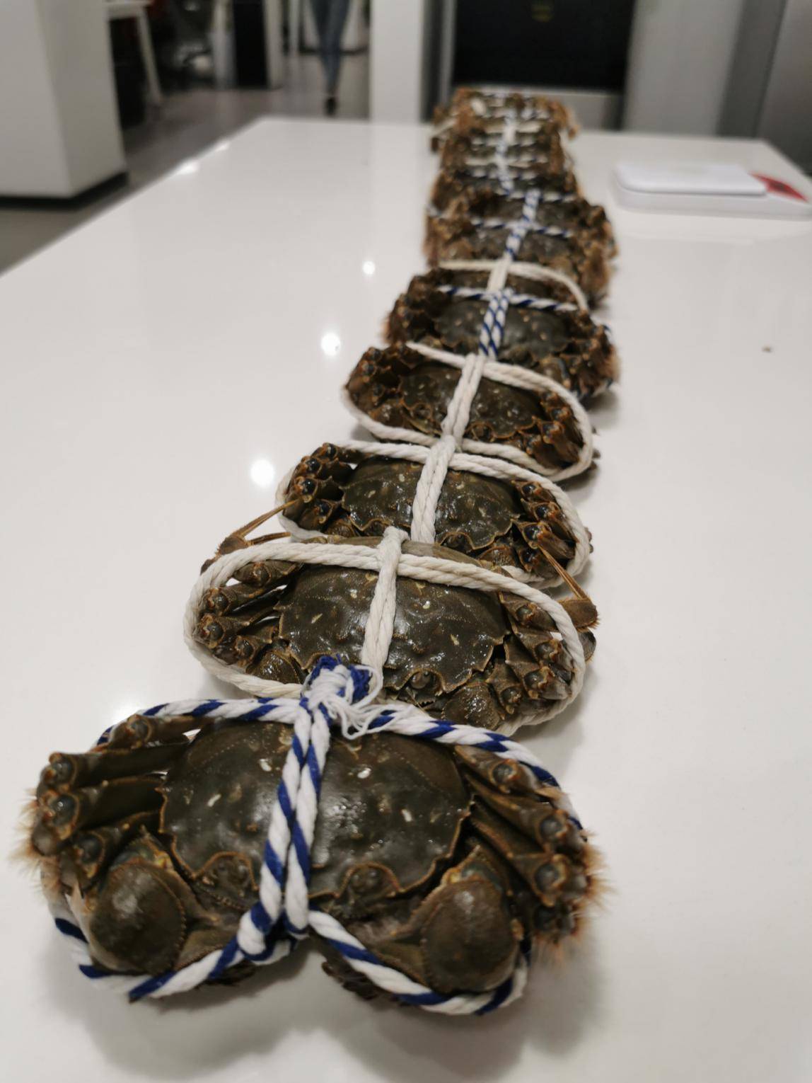 母蟹和公蟹开春后哪个好吃,母蟹和公蟹哪个好吃鲜活