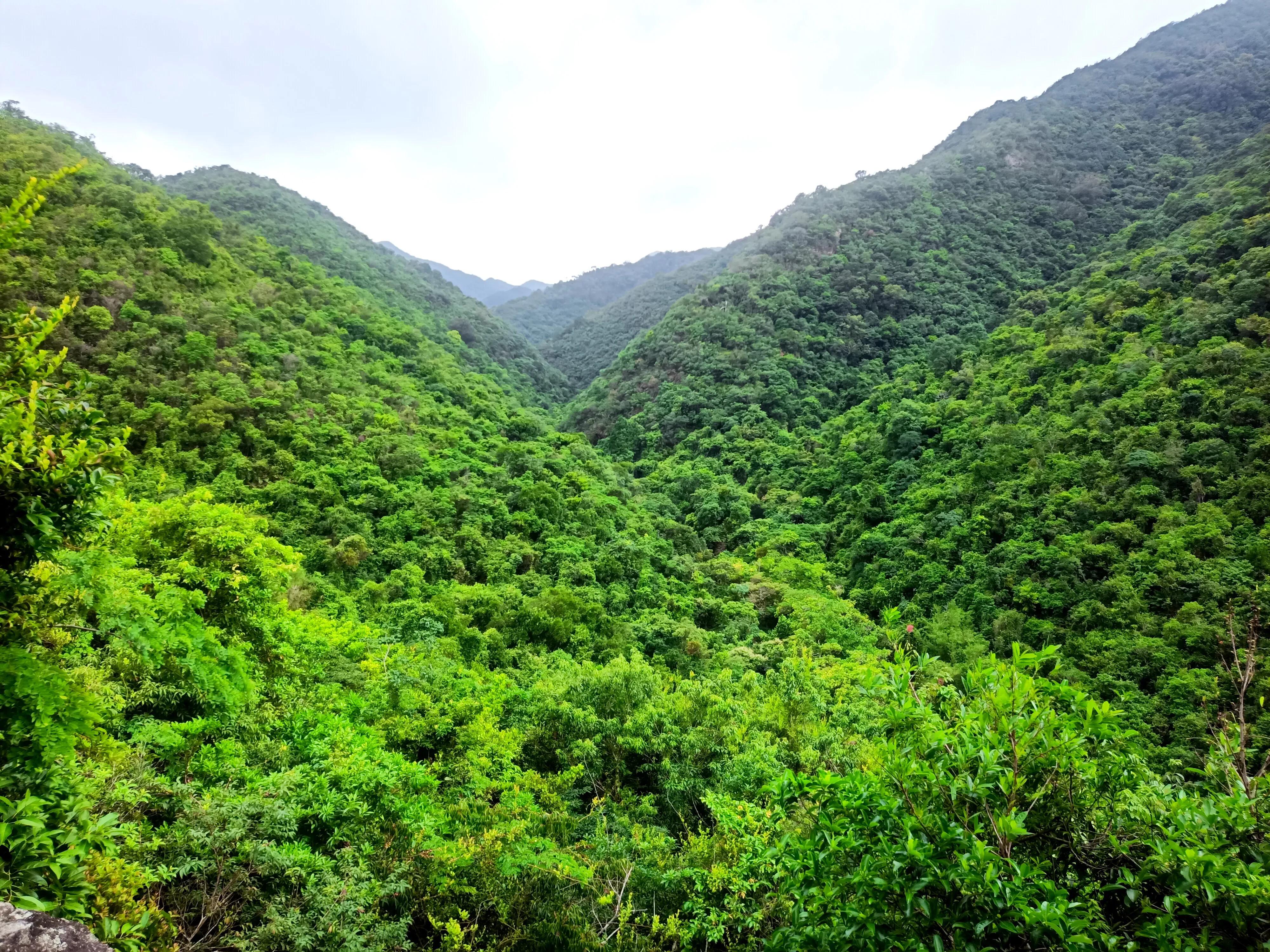 情人谷深圳,深圳情人谷绝情谷