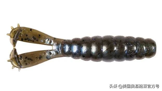 全国各地渔具展,全国渔具展2024