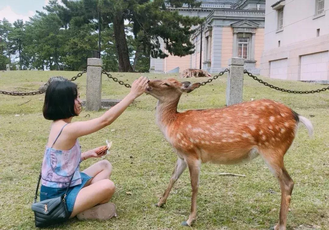 ysl圣罗兰包包二手单肩,2023年ysl圣罗兰包包