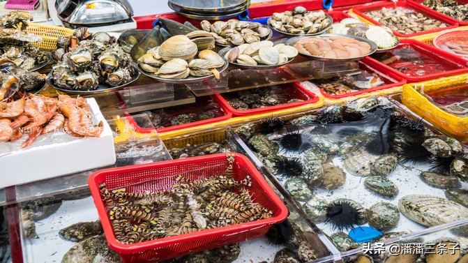 韩国有什么值得买的吃的,除了买买买还有什么活动