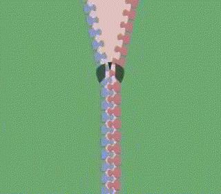 趣味物理科普图片,物理趣味图