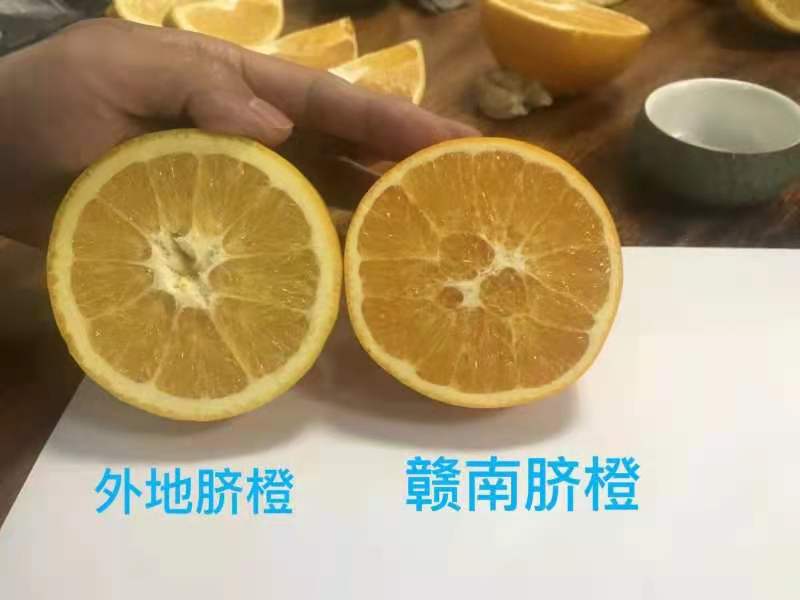 什么样的脐橙更好吃又甜,现在最好吃的脐橙