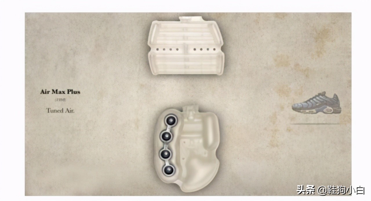 科普向动画特点,nike气垫科普