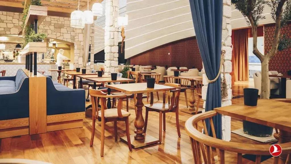 中东霸主土耳其的野心,土耳其的战略野心