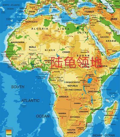 龟类分类大全图片,龟类的种类及图片大全