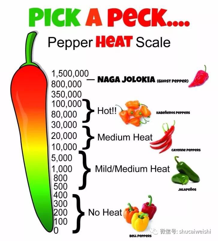 干辣椒为啥这么辣,揭秘辣椒看起来很辣