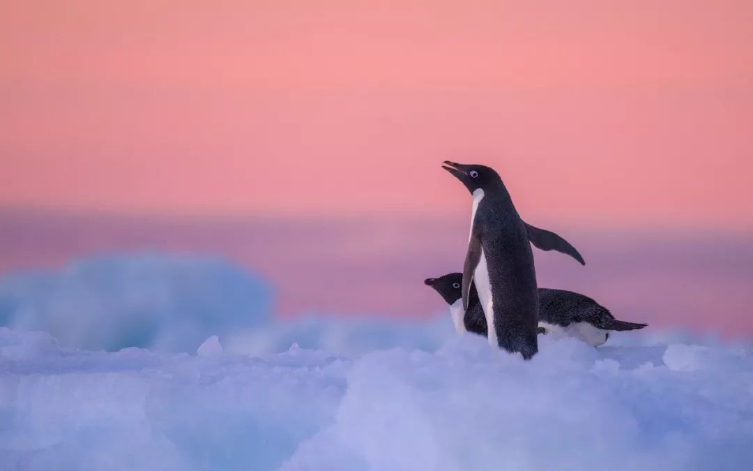 鏋佽嚧鏃呰浣撻獙,鏃呰鏋佽嚧浣撻獙