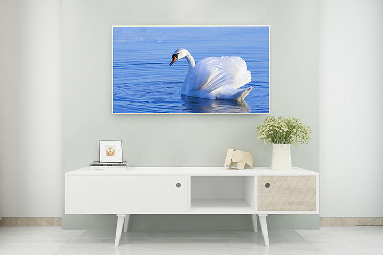 内行人选电视品牌,内行人怎么选电视机好用