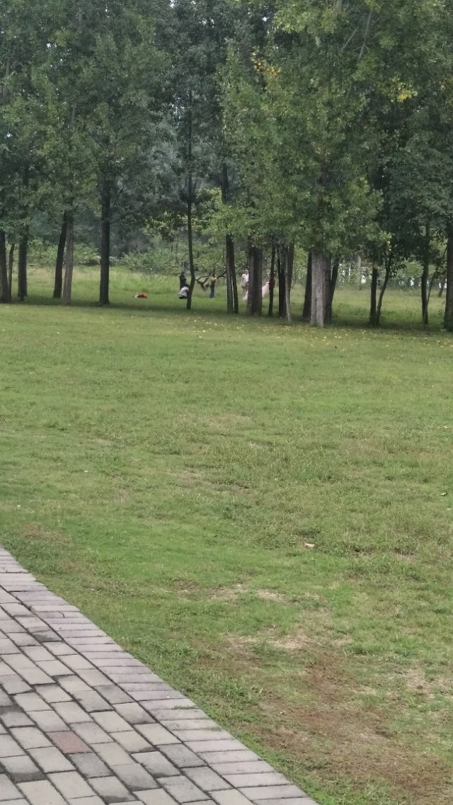 南阳李宁体育园的健身房,李宁体育园南阳