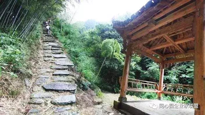 同心圆企业家联盟视频,企业家联盟2019