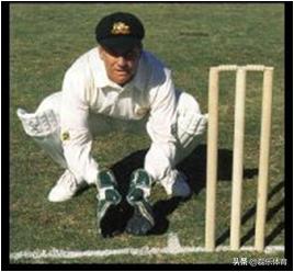 板球守桩员练习视频,板球运动讲解视频