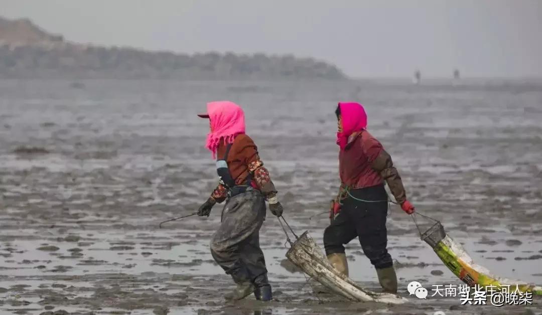 大连庄河赶海排名第一名,庄河赶海网红视频