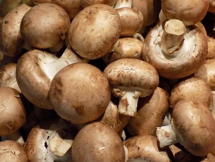 香菇洗法窍门,香菇里面有小虫子怎么办