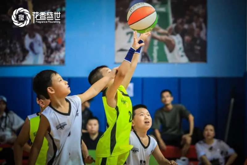 中国小篮球运动规则图解,小篮球基础技术动作规范